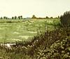 St Benets Abbey - Abbey Pastures - Landscape Artwork by Jan Dingle